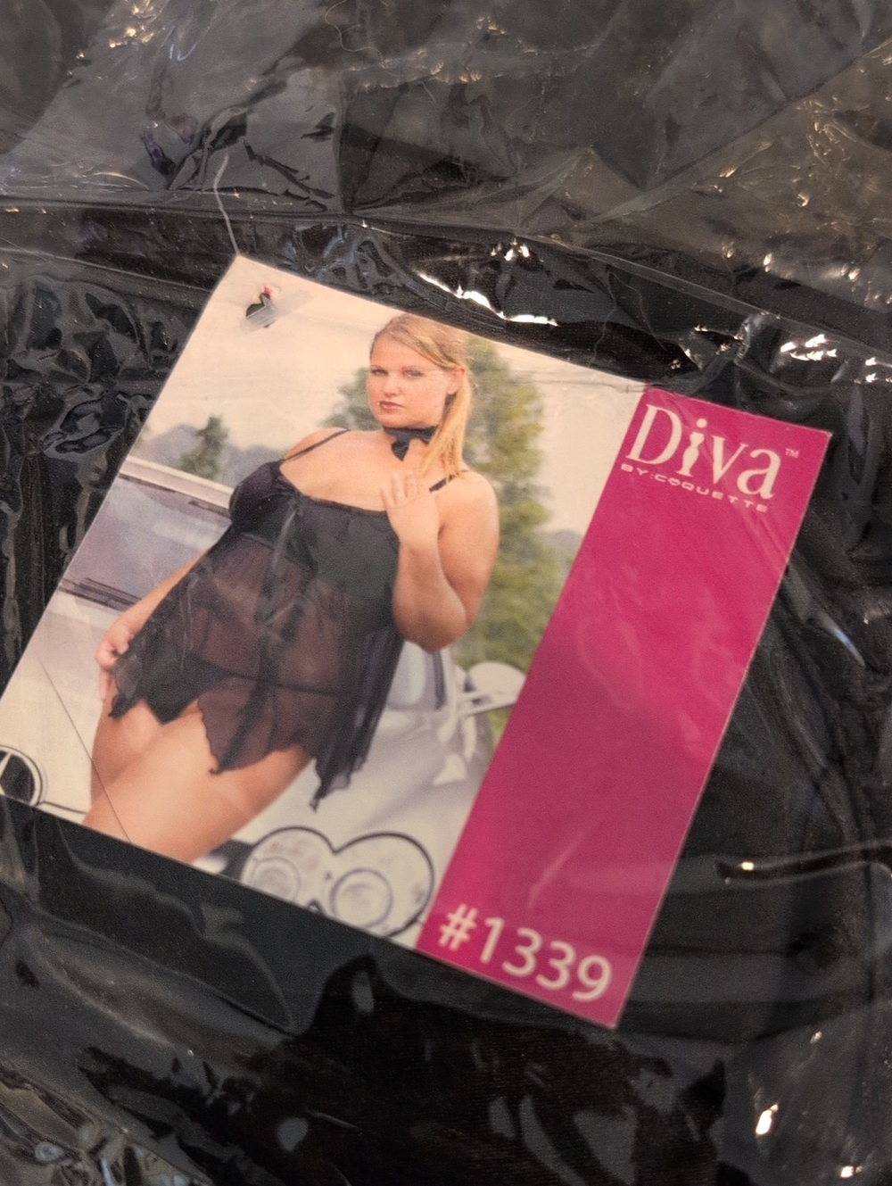 Diva Black Sheer Babydoll Lingerie